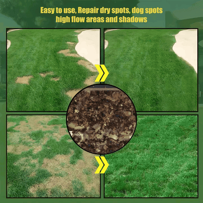 🔥Last Day Promotion Buy 2 Get 1 Free🔥🌱Raznave® 2026 Evergreen Dwarf Grass Seed for Four Seasons