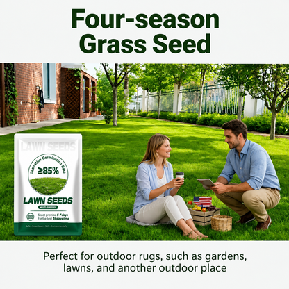 🔥Last Day Promotion Buy 2 Get 1 Free🔥🌱Raznave® 2026 Evergreen Dwarf Grass Seed for Four Seasons