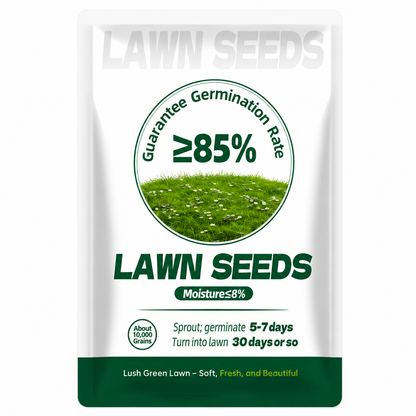 🔥Last Day Promotion Buy 2 Get 1 Free🔥🌱Raznave® 2026 Evergreen Dwarf Grass Seed for Four Seasons