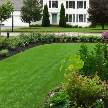 🔥Last Day Promotion Buy 2 Get 1 Free🔥🌱Raznave® 2026 Evergreen Dwarf Grass Seed for Four Seasons