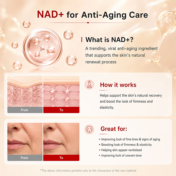 Korean NAD+ Advanced Growth Factor Serum